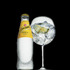 Schweppes Agua Tonica